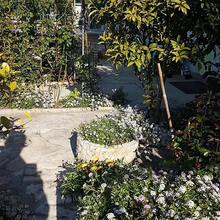 16759c Apartamento Sveti Filip i Jakov
